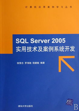 SQL Server 2005實用技術(shù)及案例系統(tǒng)開發(fā) 附光盤的計算機應(yīng)用案例學(xué)習(xí)指南